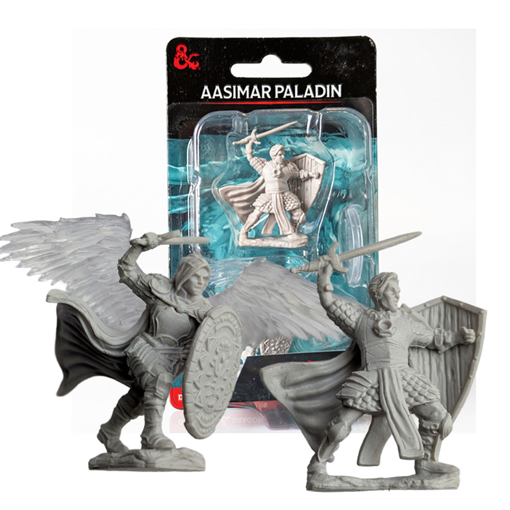 Two detailed tabletop Aasimar Paladin miniatures with swords and shields in front of packaging.