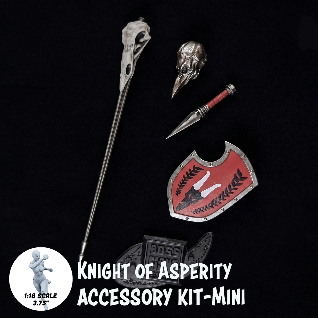 1:18 Scale Knight of Asperity Mini Gear Kit (Knight Shield and Lance Pack for 3.75" - 4" Figures) by Boss Fight Studio Llc new in box