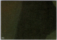 1977 Topps Star Wars Orange Series 4 trading card number 301 vintage collectible by Go Figment