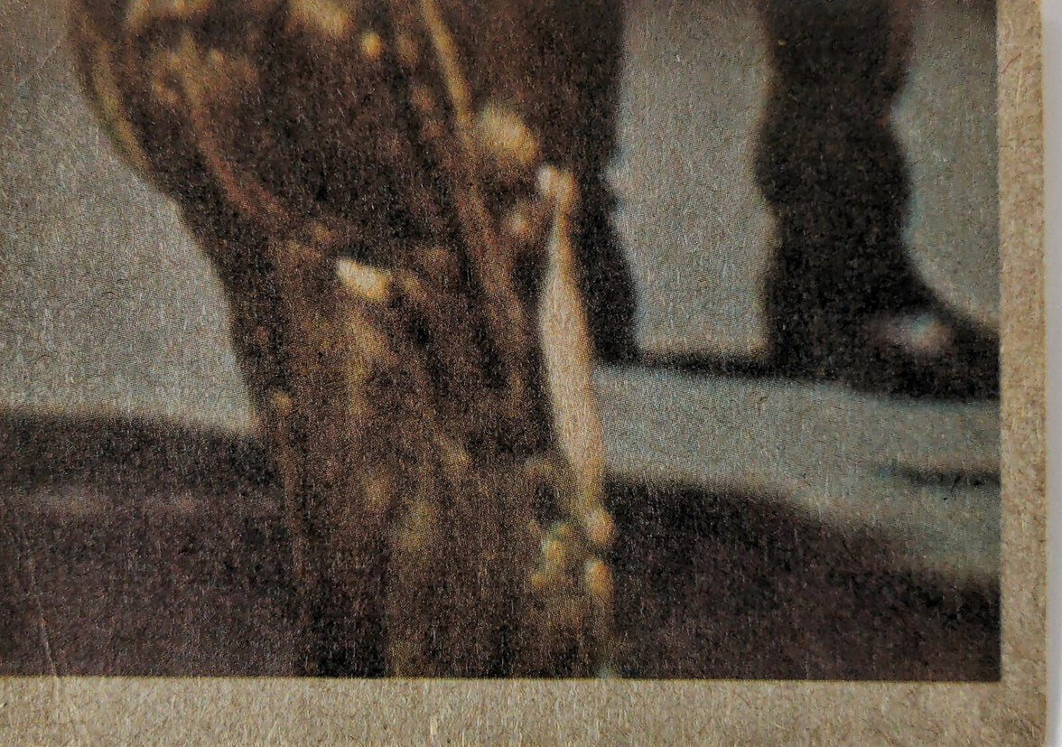 Close-up of vintage 1977 Topps Star Wars yellow Series 3 trading card corner with blurred character details