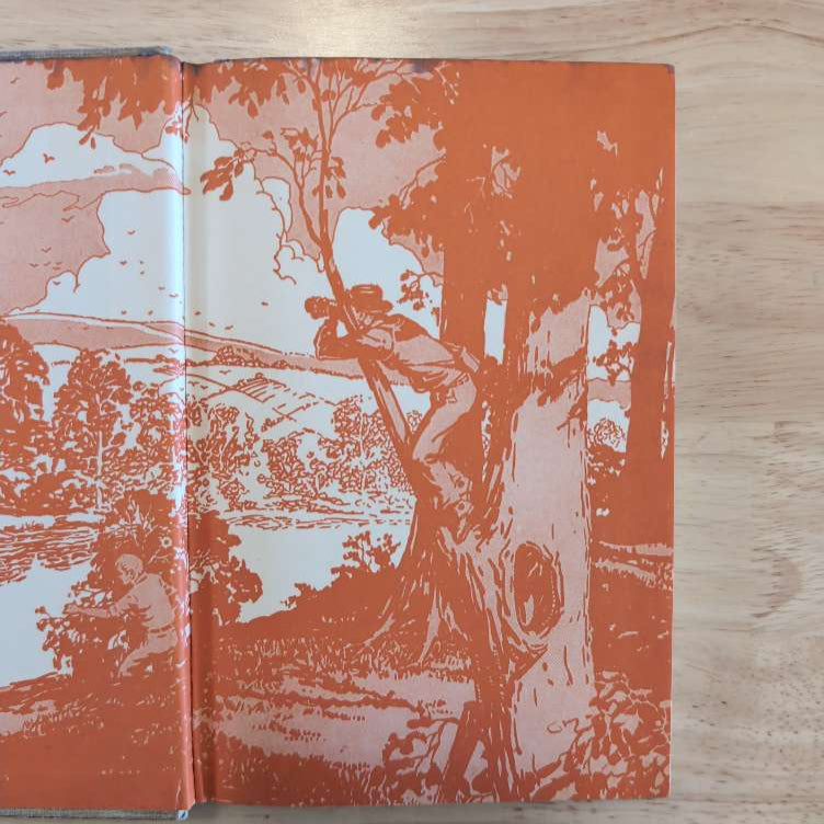 Orange and cream illustrated endpaper of vintage Hardy Boys book showing boys climbing tree by river Grosset & Dunlap Inc.