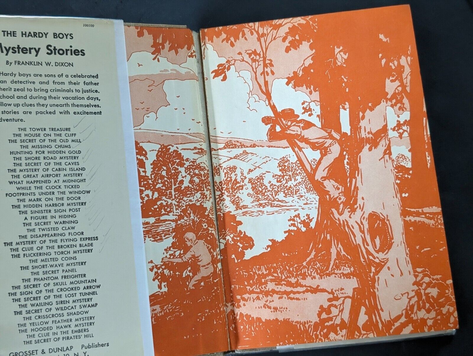29 The Secret of the Lost Tunnel (1950-Dust): Hardy Boys Book image 11