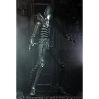 Alien Ultimate 40th Anniversary Big Chap 7-Inch Xenomorph Action Figure by NECA with articulated limbs and detailed sculpt new in box collectible