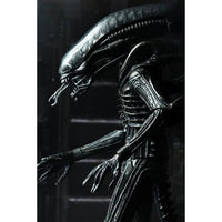 Alien Ultimate 40th Anniversary Big Chap 7-Inch Xenomorph Action Figure by NECA with detailed sculpt and articulated limbs new in box collectible