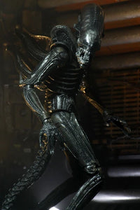 Alien Ultimate 40th Anniversary Big Chap 7-Inch Xenomorph Action Figure by NECA with detailed sculpt and poseable limbs new in box collectible