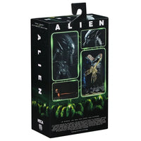 Alien Ultimate 40th Anniversary Big Chap 7-Inch Xenomorph Action Figure by NECA new in box with detailed sculpt and accessories