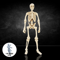 Bone White Skeleton Vitruvian H.A.C.K.S. Customizer Series Action Figure Blank 1:18 Scale by Boss Fight Studio Llc new in box