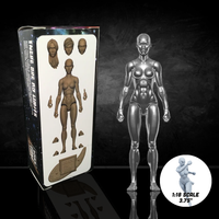 Vitruvian H.A.C.K.S. Character Blanks Chrome Female 1:18 Scale Action Figure by Boss Fight Studio Llc new in box collectible
