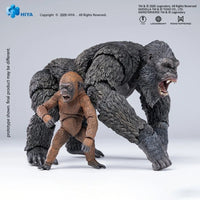 Kong & Suko 6.3" Hiya Toys Action Figure Exquisite Basic AE Exclusive Set featuring Kong and Suko figures