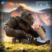 Kong & Suko 6.3" Hiya Toys Action Figure Exquisite Basic AE Exclusive Set