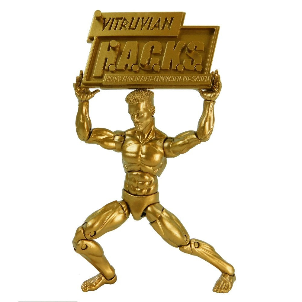 Gold Male Blank - Vitruvian H.A.C.K.S. 10th Anniversary Action Figure by Boss Fight Studio Llc new in box collectible