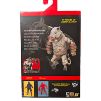 Gruagach 1:12 Scale Action Figure Wave 1 (The Wild Hunt) by Boss Fight Studio packaging