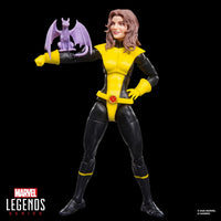 Marvel Legends X-Men Kitty Pryde Colossus 6" Action Figure 2-Pack Hasbro New with articulated figure holding purple dragon accessory