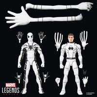 Marvel Legends Series Future Foundation Mister Fantastic & Spider-Man Action Figures Two-Pack by Hasbro new in box collectible