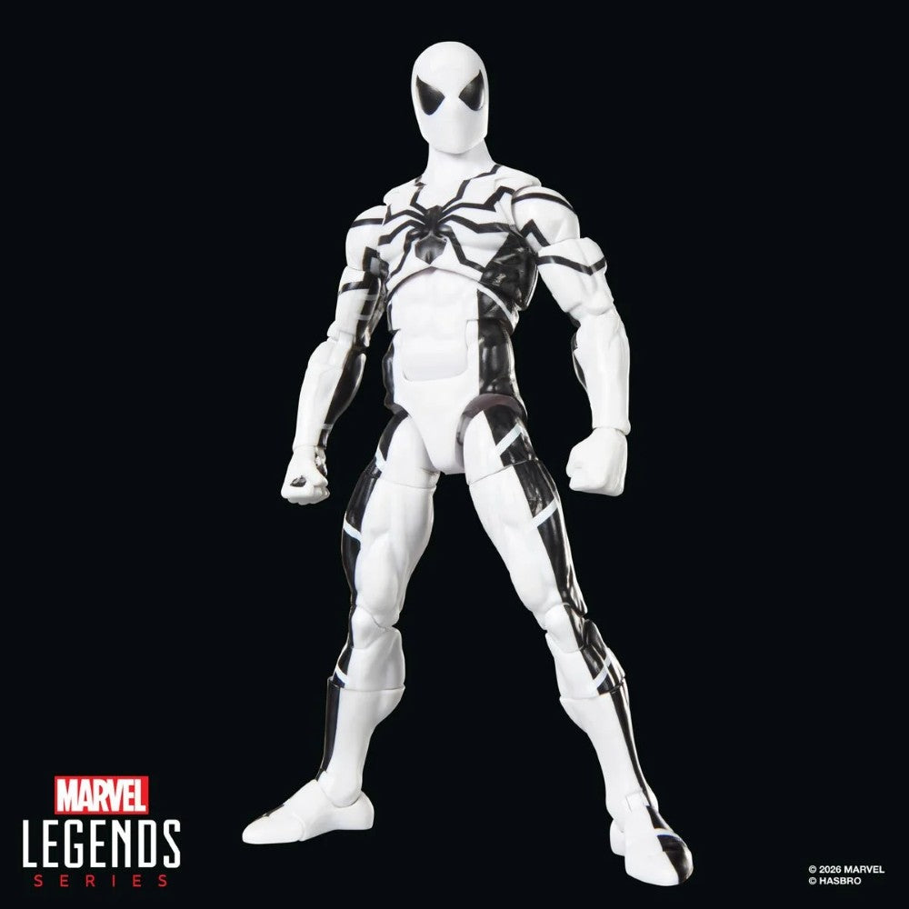 Marvel Legends Series Future Foundation Mister Fantastic & Spider-Man Action Figures Two-Pack by Hasbro new in box collectible