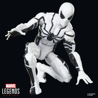 Marvel Legends Series Future Foundation Mister Fantastic & Spider-Man Action Figures Two-Pack by Hasbro new in box collectible