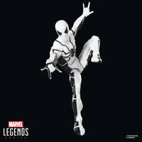 Mister Fantastic & Spider-Man 6-Inch Action Figures - Marvel Legends Series Future Foundation by Hasbro