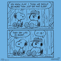 Olaf and Andy Peanuts ReAction Figures 2-Pack Super7 Collectible Figure Set new in box with comic strip packaging design