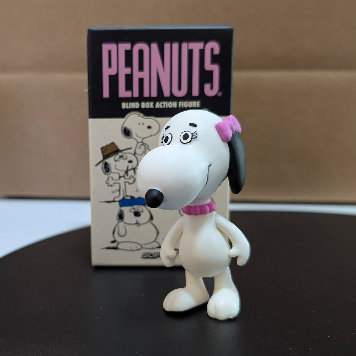 Snoopy's Family - ReAction Figures 3.75" from Charles M. Schulz's Peanuts by Super7 new in box collectible figure
