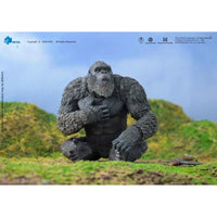 Kong Godzilla v. Kong The New Empire Hiya Toys Exquisite Basic Action Figure Scale 6-Inch Action Figure new in box by Exquisite seated pose