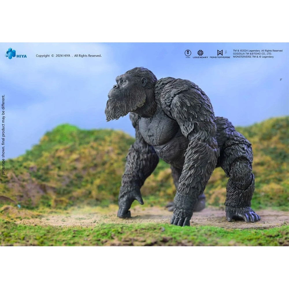 Kong Godzilla v. Kong The New Empire Hiya Toys Exquisite Basic Action Figure Scale 6-Inch Action Figure new in box by Exquisite