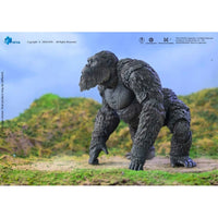 Kong Godzilla v. Kong The New Empire Hiya Toys Exquisite Basic Action Figure Scale 6-Inch Action Figure new in box by Exquisite