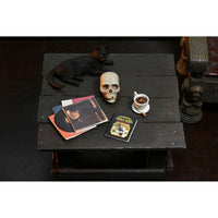 Vincent Price - Ultimate Master of Menace NECA 7-Inch Scale Action Figure with black cat, skull, records, and coffee cup by Neca