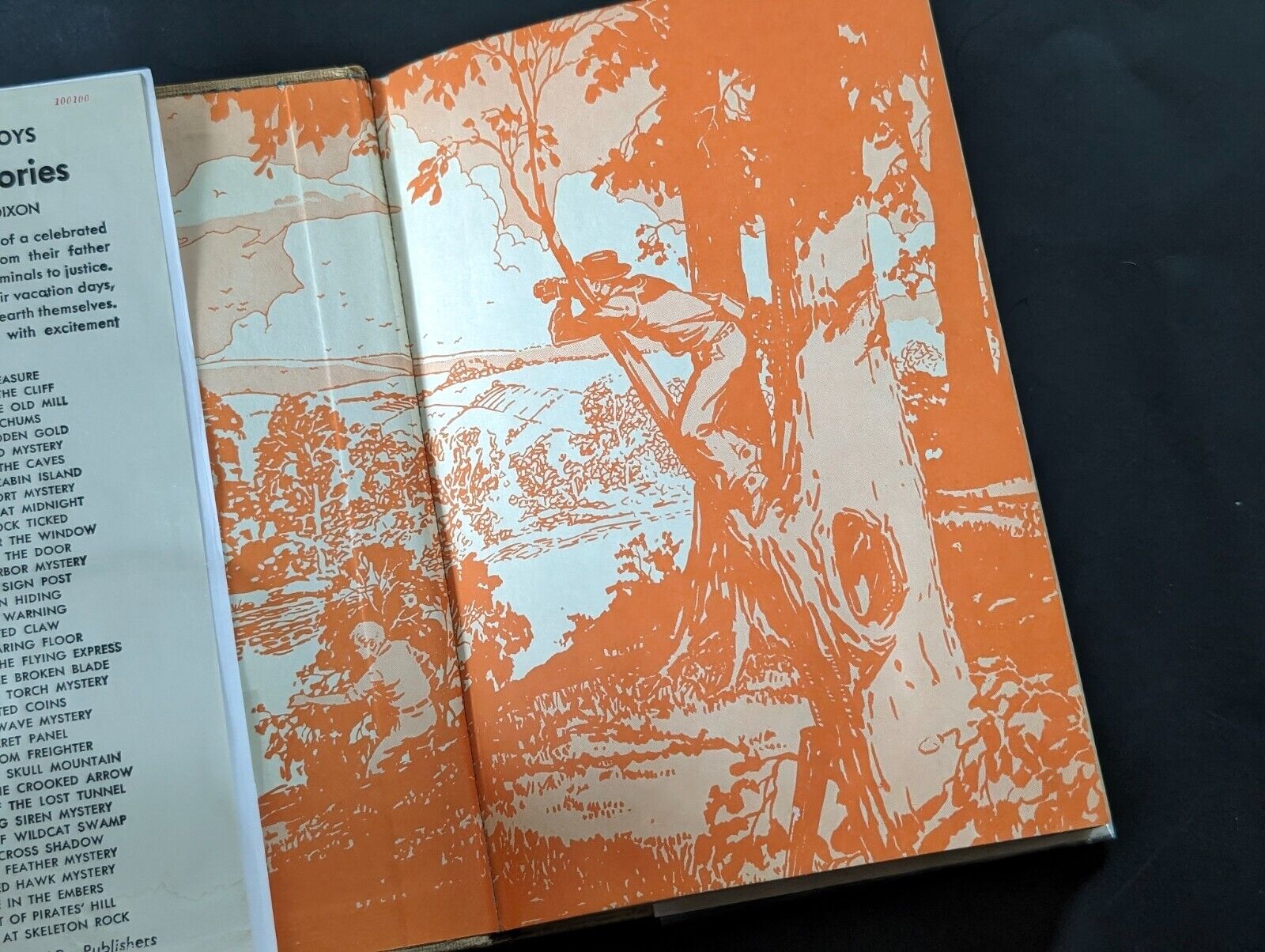 27 Secret of Skull Mountain (1948-Dust): The Hardy Boys Book image 1